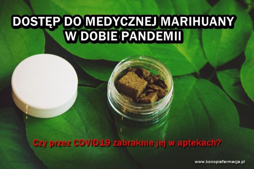 dostep_do_medyczej_marihuany_o